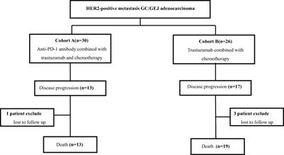 Efficacy and survival of anti-PD-1 antibody in combination with trastuzumab and chemotherapy versus trastuzumab and chemotherapy as first-line treatment of HER2-positive metastasis gastric adenocarcinoma: a retrospective study